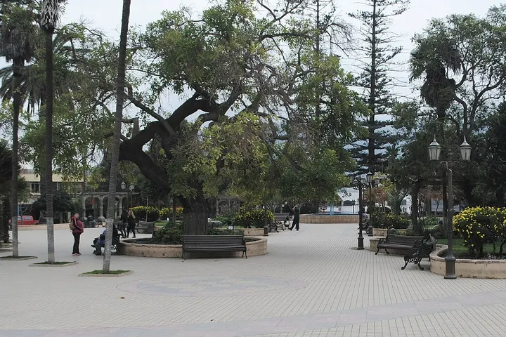 Vista de La Ligua