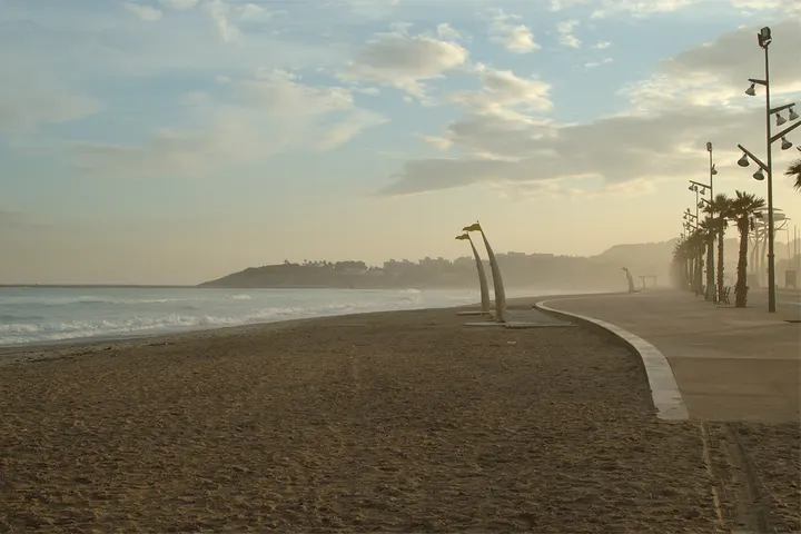 Vista de La Pineda