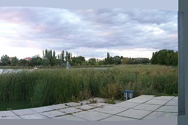 Vista de Laguna de Duero