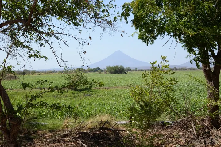 Vista de Larreynaga
