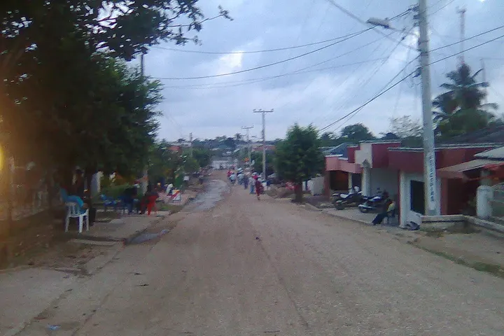 Vista de Manatí