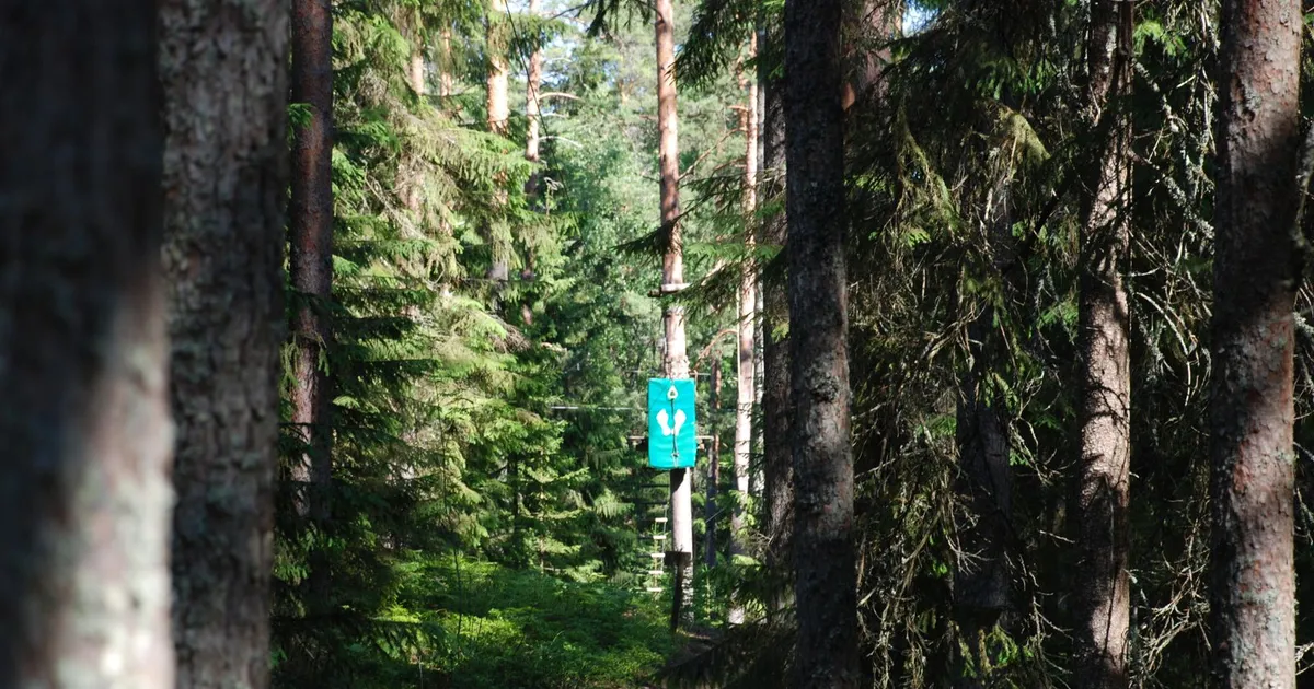 Stimmungsbild zum Thema Natur