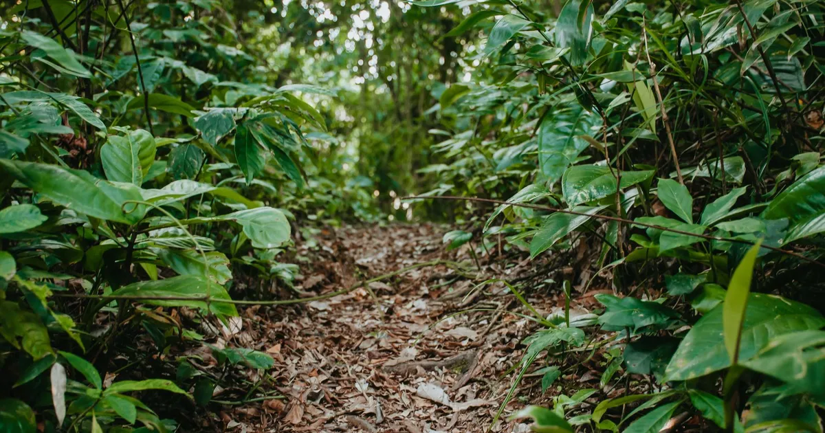 Ambiente relacionado con naturaleza y aire libre