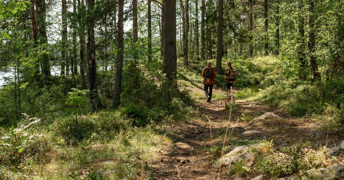 Ambiente relacionado con naturaleza y aire libre