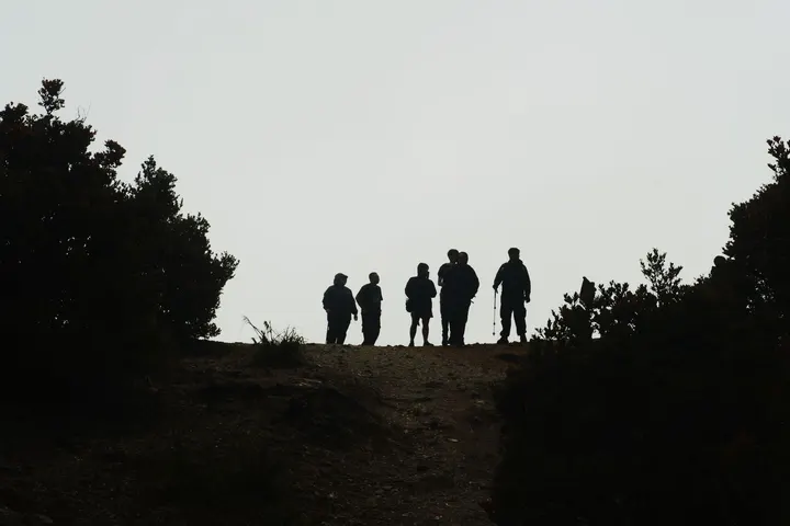 Cuatro personas están de pie en una colina, rodeadas de árboles