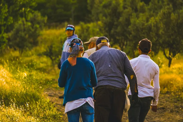 Un grupo de personas, incluyendo una mujer y un hombre, caminan por un campo con árboles y hierba alta